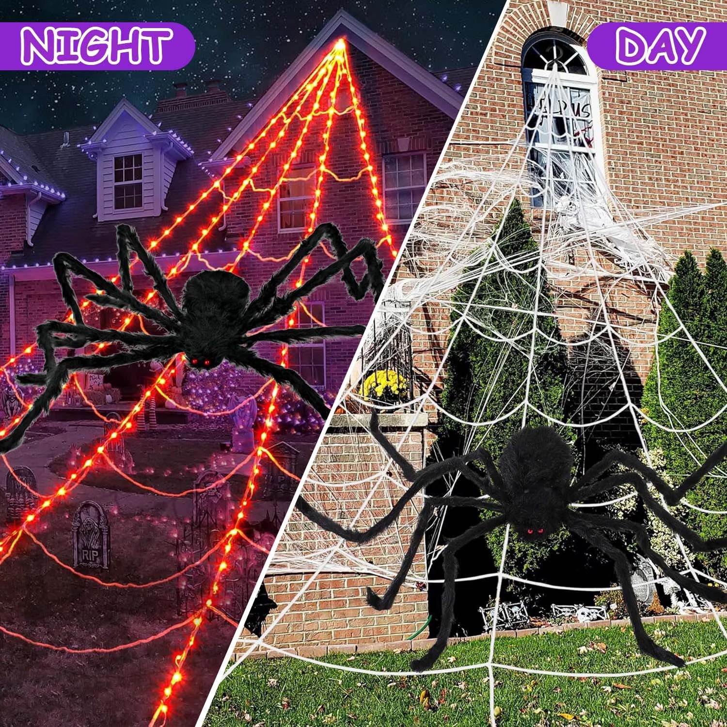 Halloween purple spider web with giant spider