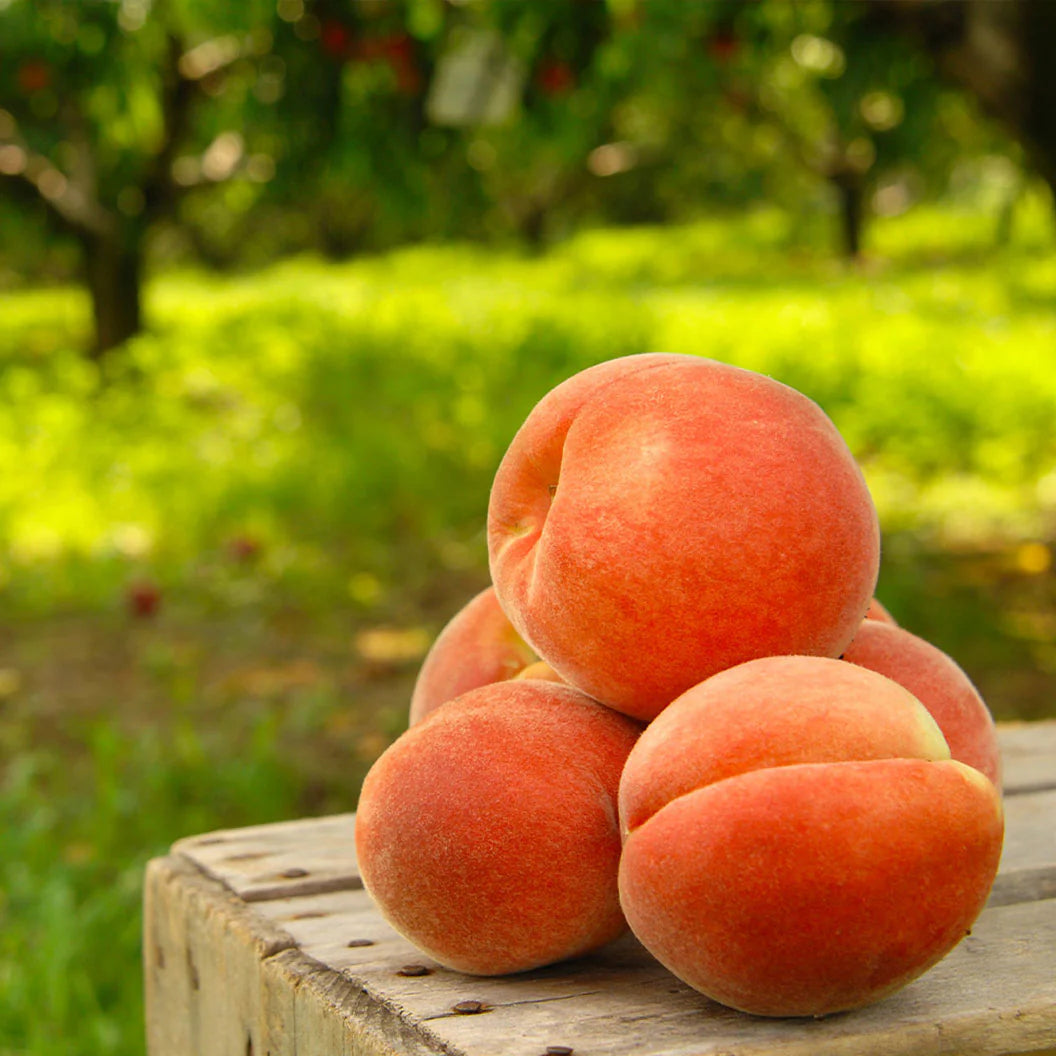 🍑Ultra-Sweet Juicy Peach Tree Planting Kit-EV