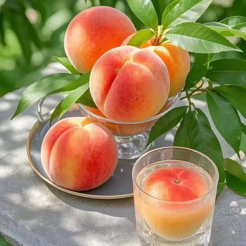 🍑Ultra-Sweet Juicy Peach Tree Planting Kit-EV