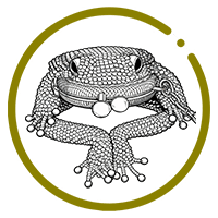 🐸Limited Time 50%OFF💰Charming Frog Coin Purse