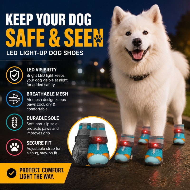 🐾 LED Light-Up Dog Boots – Motion-Activated Glowing Shoes for Night Walks