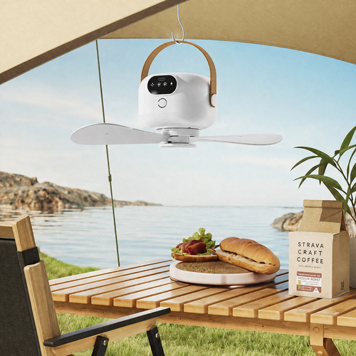 🔥10K+ SOLD LAST WEEK!💡🌀 2-in-1 Energy-Saving Fan Light｜Cool Air + Soft Light in One