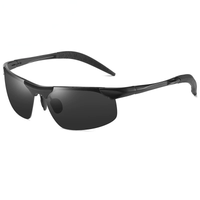Black Frame / Black-Gray Lens