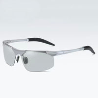 Silver Frame / Photochromic Lens