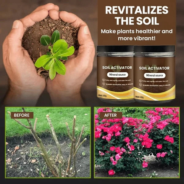 🔥Last Day 70% OFF-🌱Soil Activated Treasure-You Will Be Amazed!