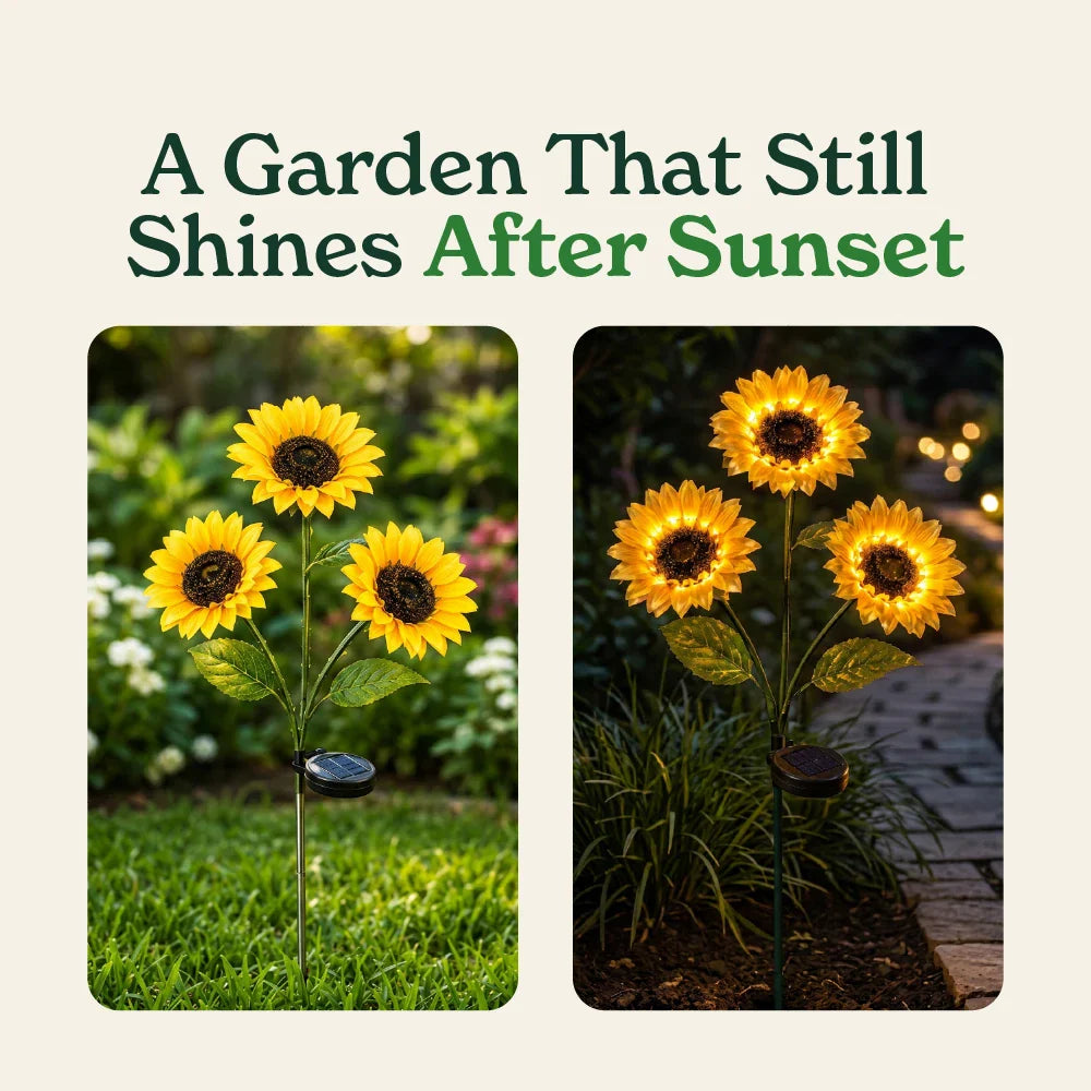 🔥Hot Sale 49% OFF🔥Solar Sunflower Garden Lights: Illuminate Your Outdoors with Sun-Kissed Charm