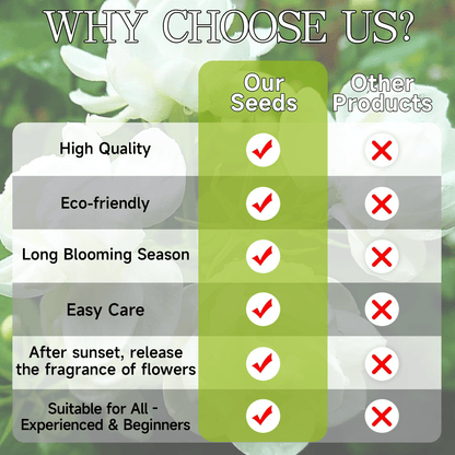 🌸Climbing Jasmine Flower Seeds - Nighttime Perfumer