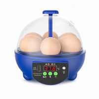 5 Eggs