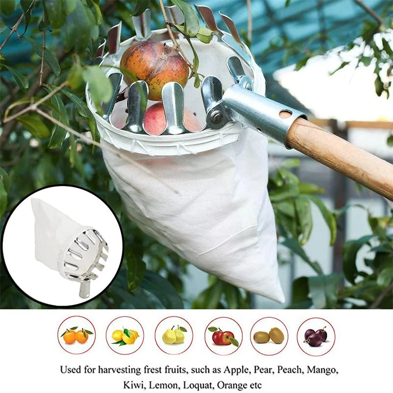 🍎 Fruit Picker with Collection Basket