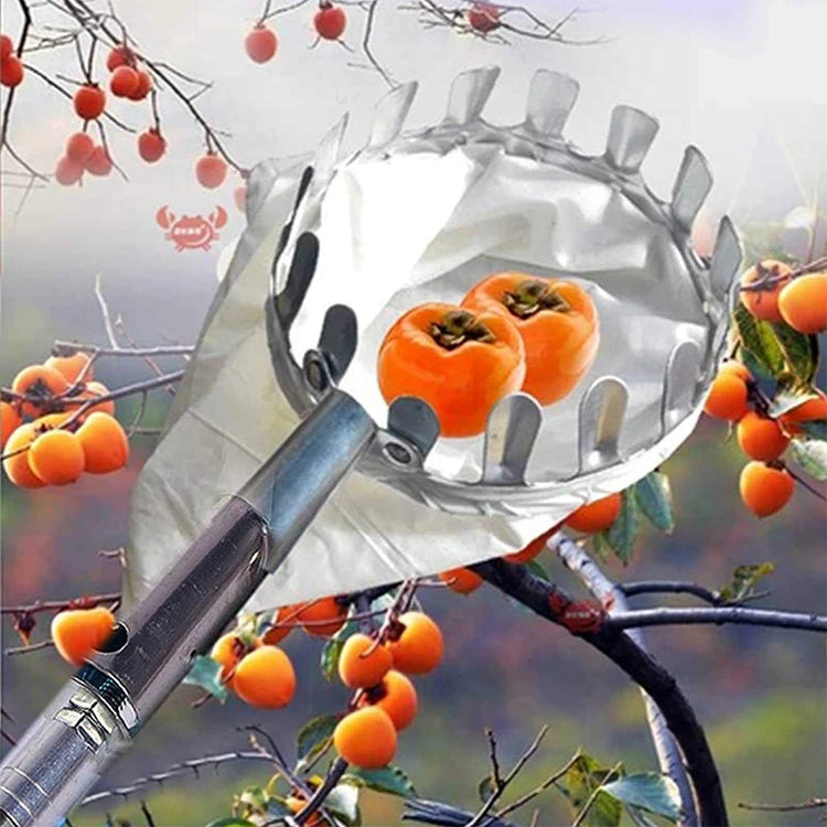 Position the fruit picker