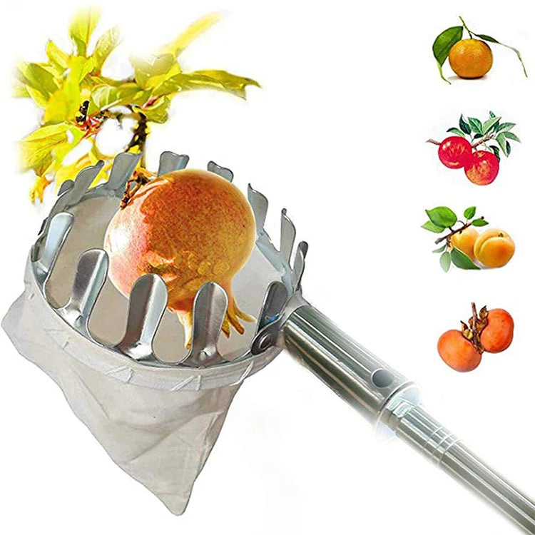 Collect harvested fruit