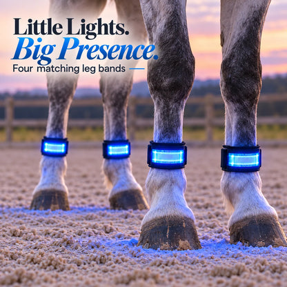 🌈🐎 Ride in Color LED Horse Light Set – Colorful Night Riding Accessories