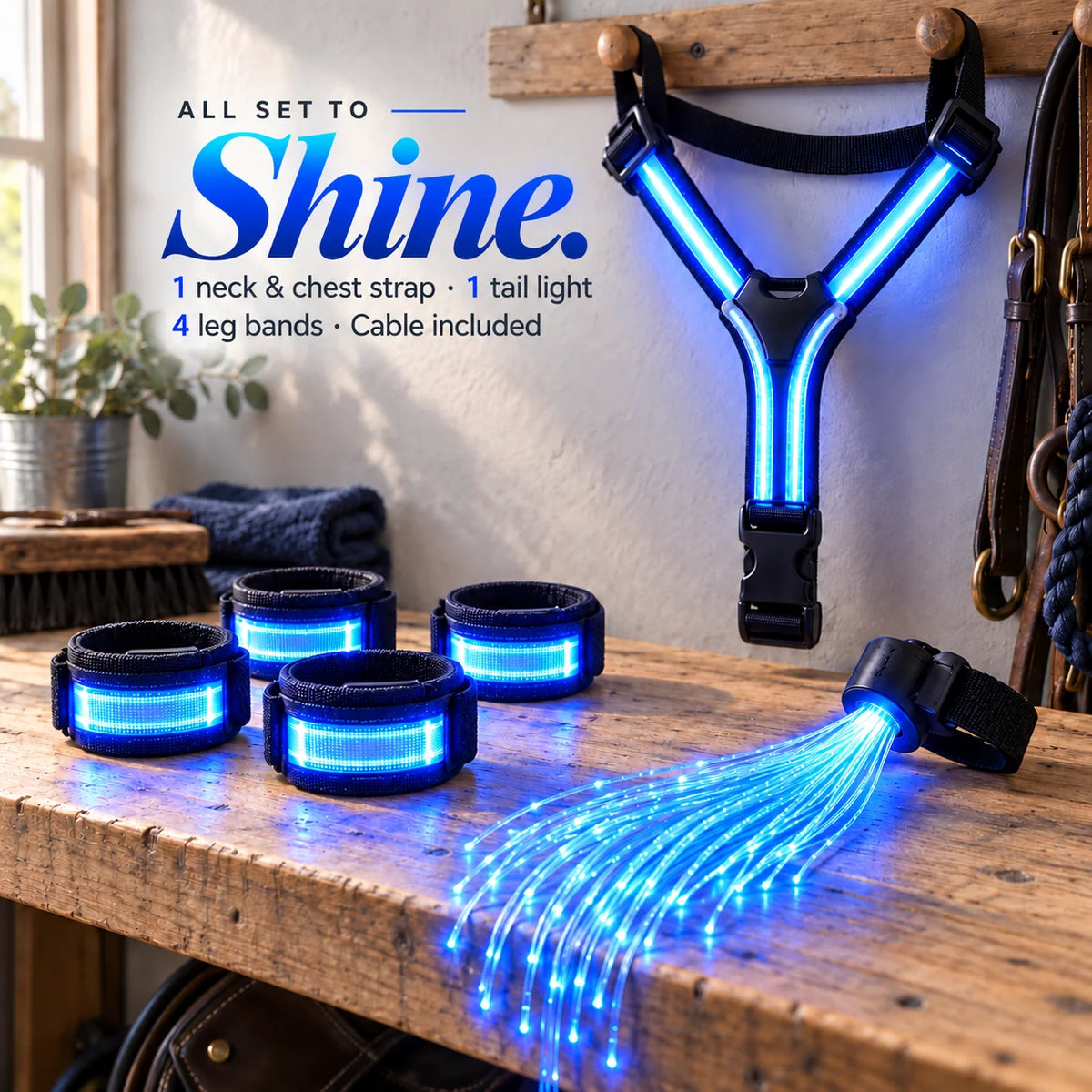 🌈🐎 Ride in Color LED Horse Light Set – Colorful Night Riding Accessories