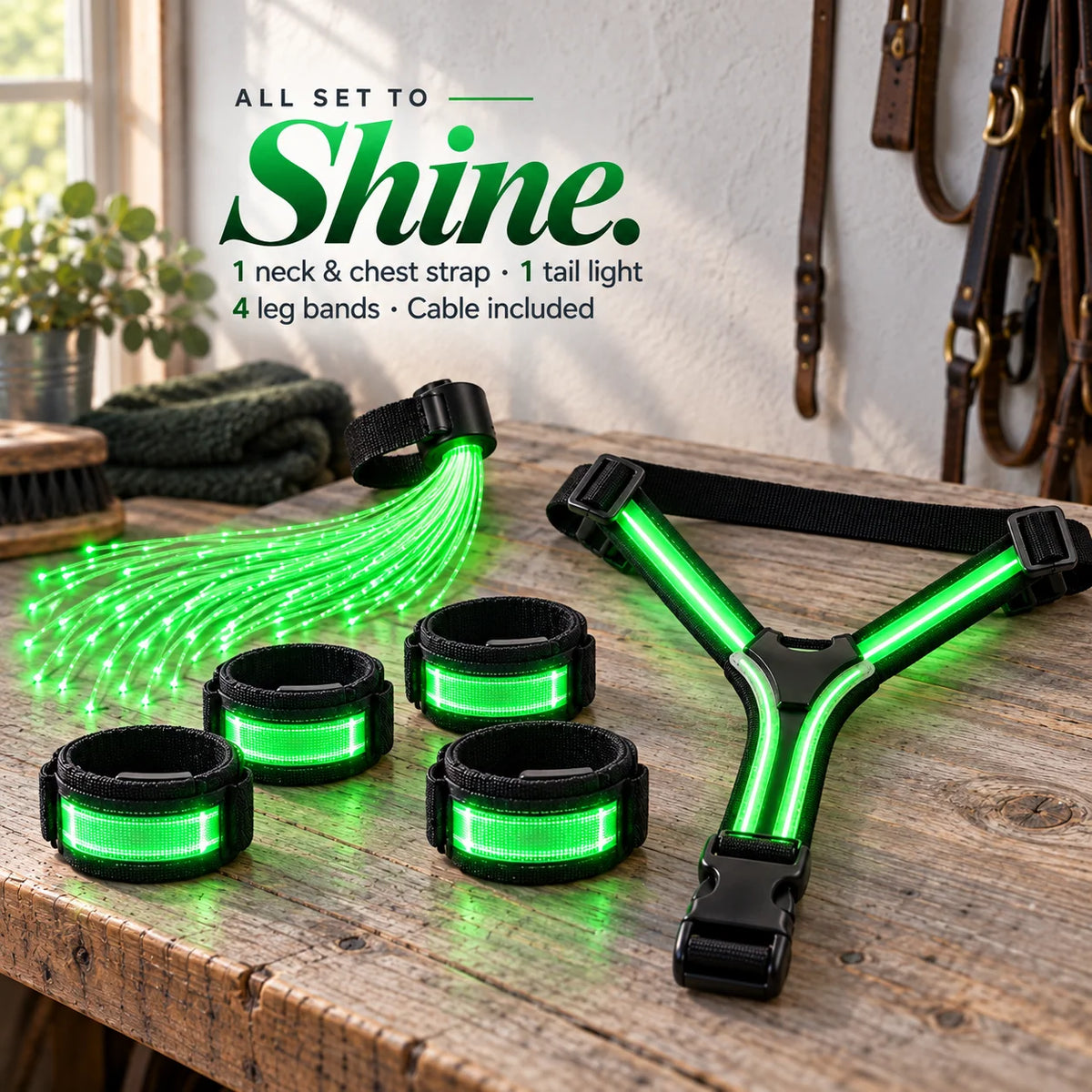 🌈🐎 Ride in Color LED Horse Light Set – Colorful Night Riding Accessories