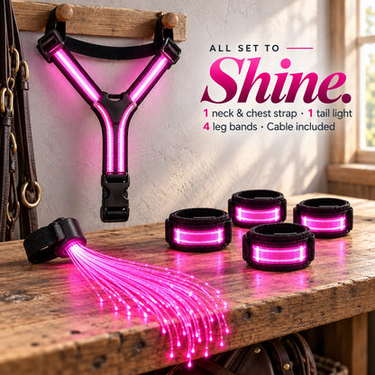 🌈🐎 Ride in Color LED Horse Light Set – Colorful Night Riding Accessories