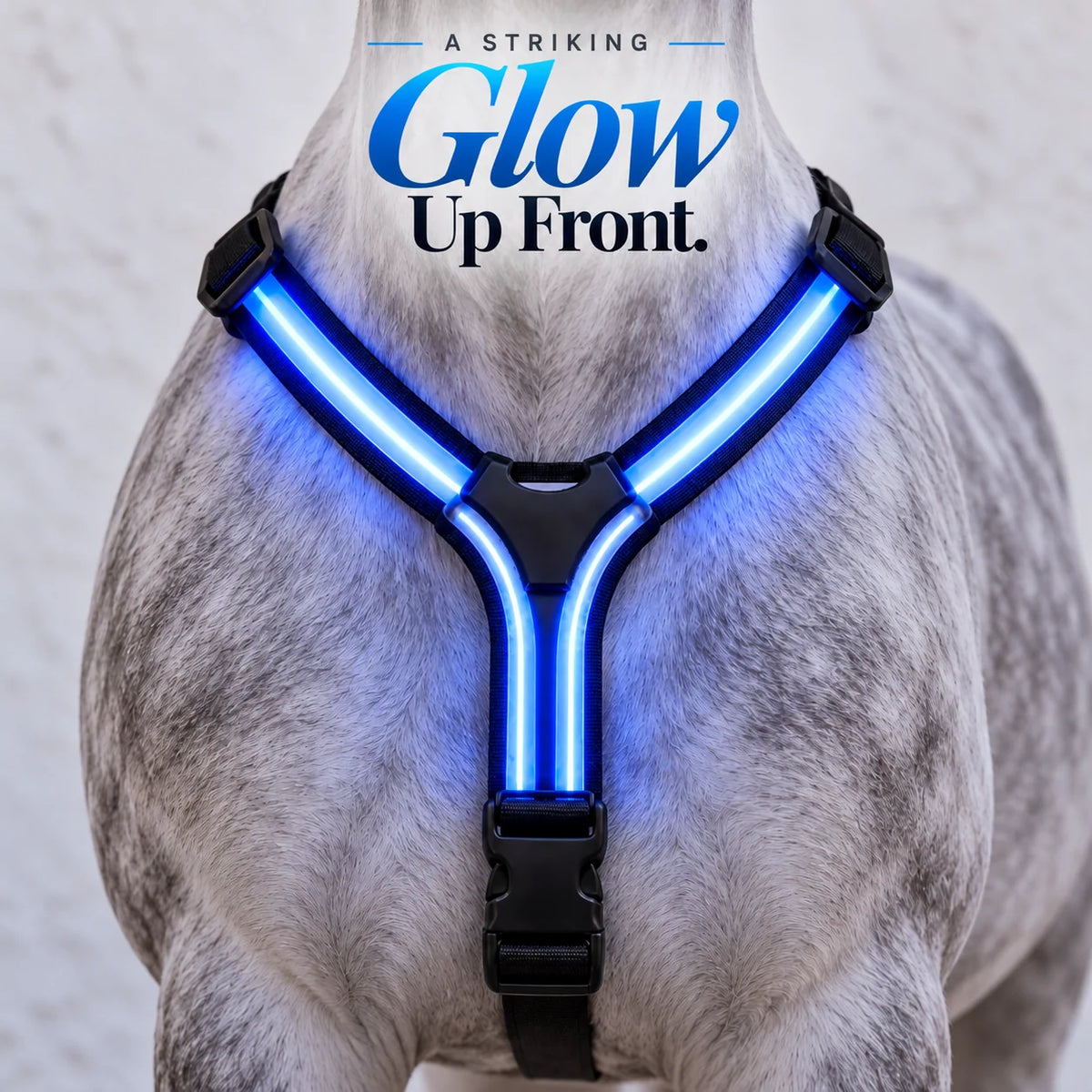 🌈🐎 Ride in Color LED Horse Light Set – Colorful Night Riding Accessories