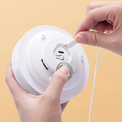 Automatic Interactive Chase Toy for Dogs & Cats