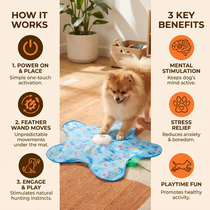Automatic Interactive Chase Toy for Dogs & Cats