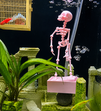 Dancing Skeleton (Pink)