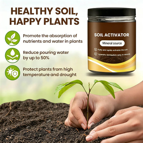 🔥Last Day 70% OFF-🌱Soil Activated Treasure-You Will Be Amazed!