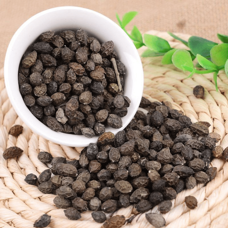 🌸Climbing Jasmine Flower Seeds - Nighttime Perfumer