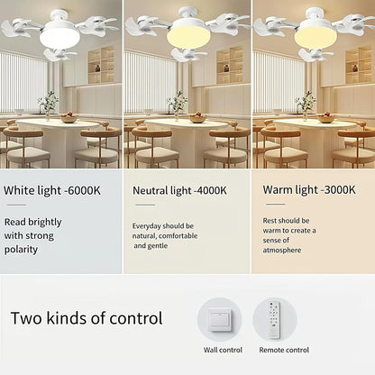 ❄️Stay Cool & Bright💡 2-in-1 Ceiling Fan Light 🏠Perfect for Bedrooms, Kitchens & Garages