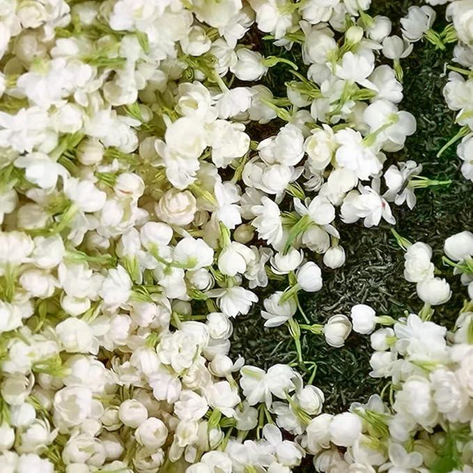 🌸Climbing Jasmine Flower Seeds - Nighttime Perfumer