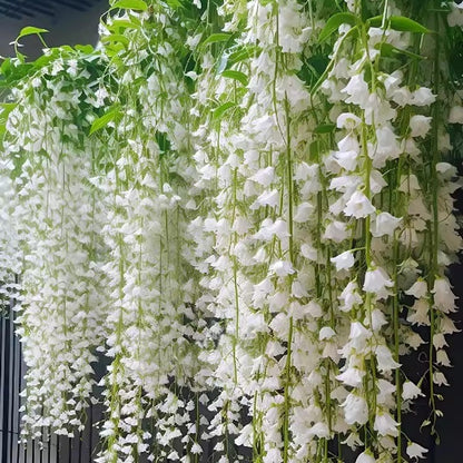 🌸Climbing Jasmine Flower Seeds - Nighttime Perfumer