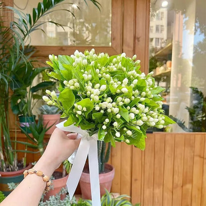 🌸Climbing Jasmine Flower Seeds - Nighttime Perfumer